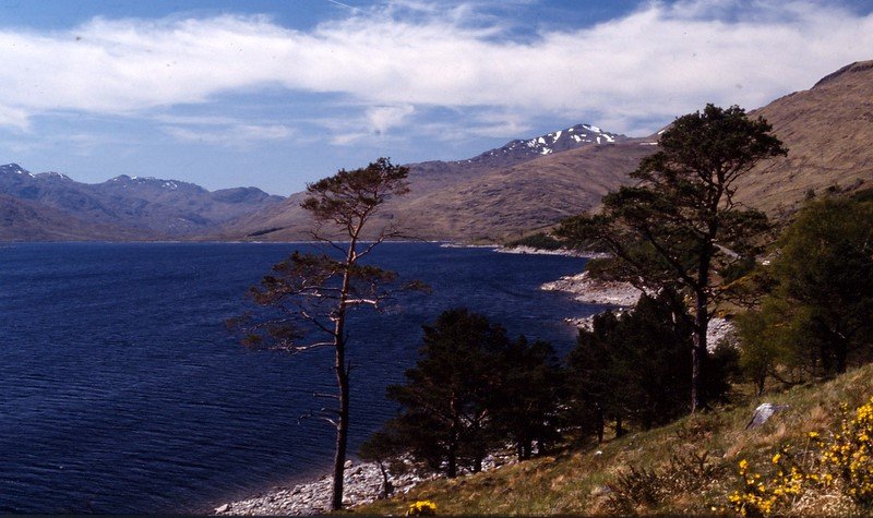 Loch Quoich, Glen Garry, Fort William, Highland