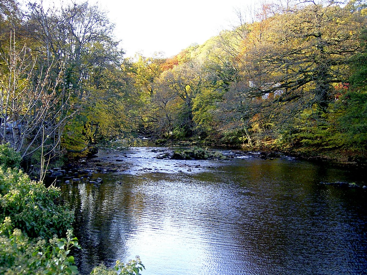 River nr Ambleside, Cumbria.