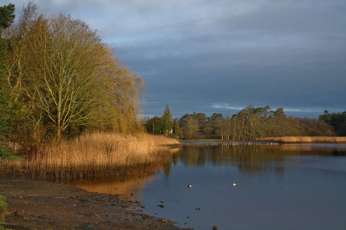 Mill pond, Beaulieu, Hampshire