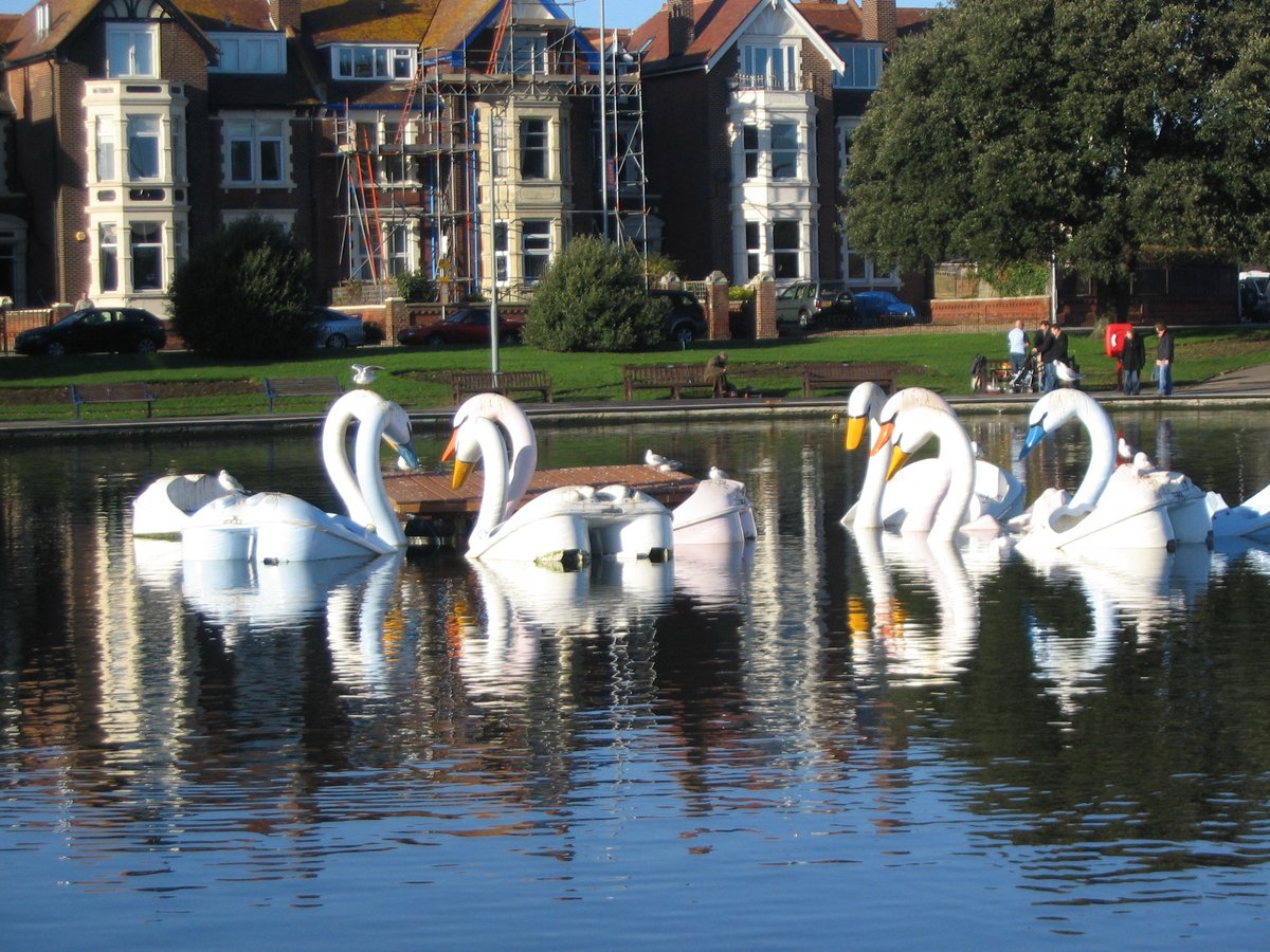 Swans a swimming? Canoe lake, Southsea 7.12.08