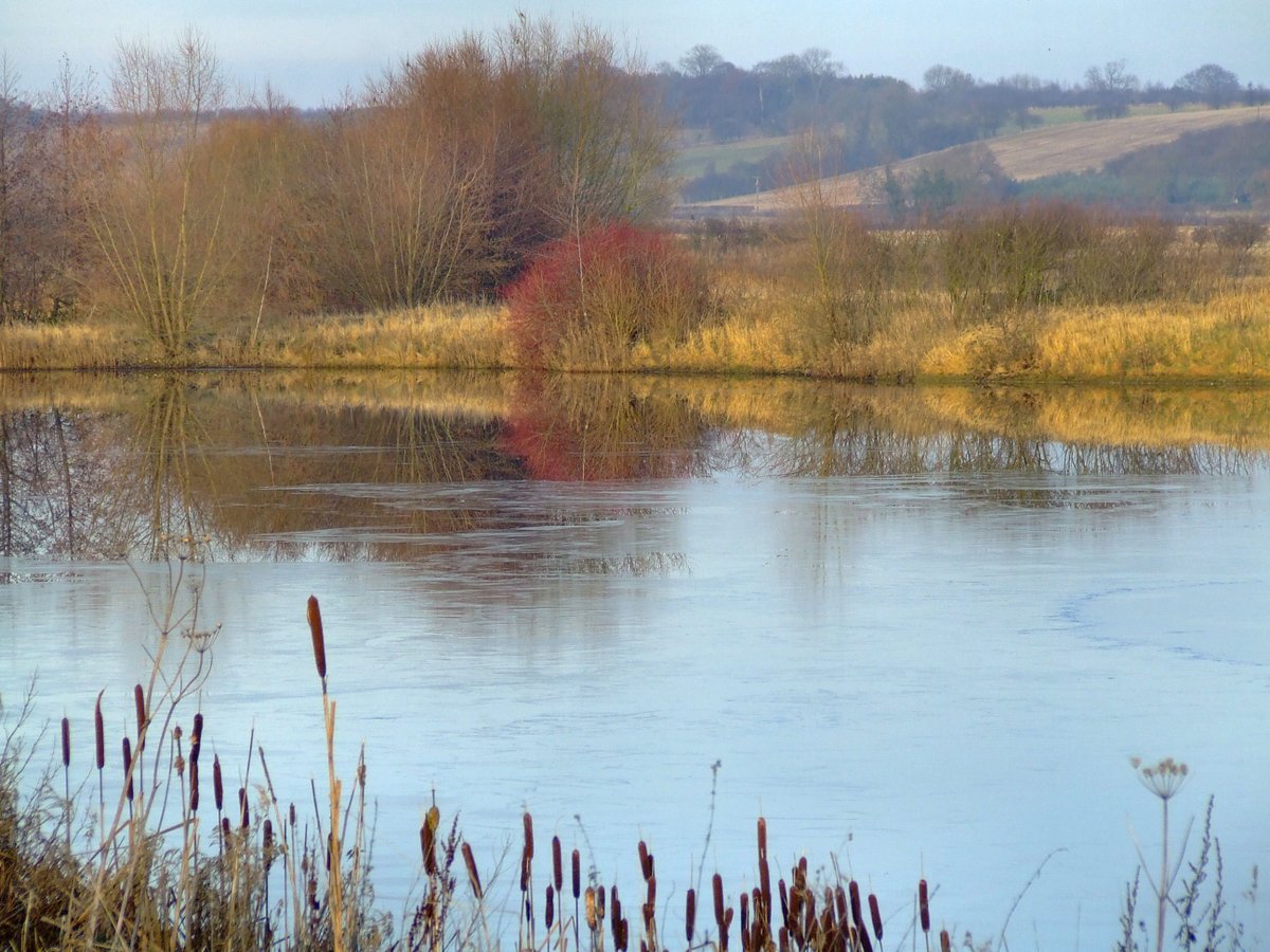 One of the ponds at the wetlands