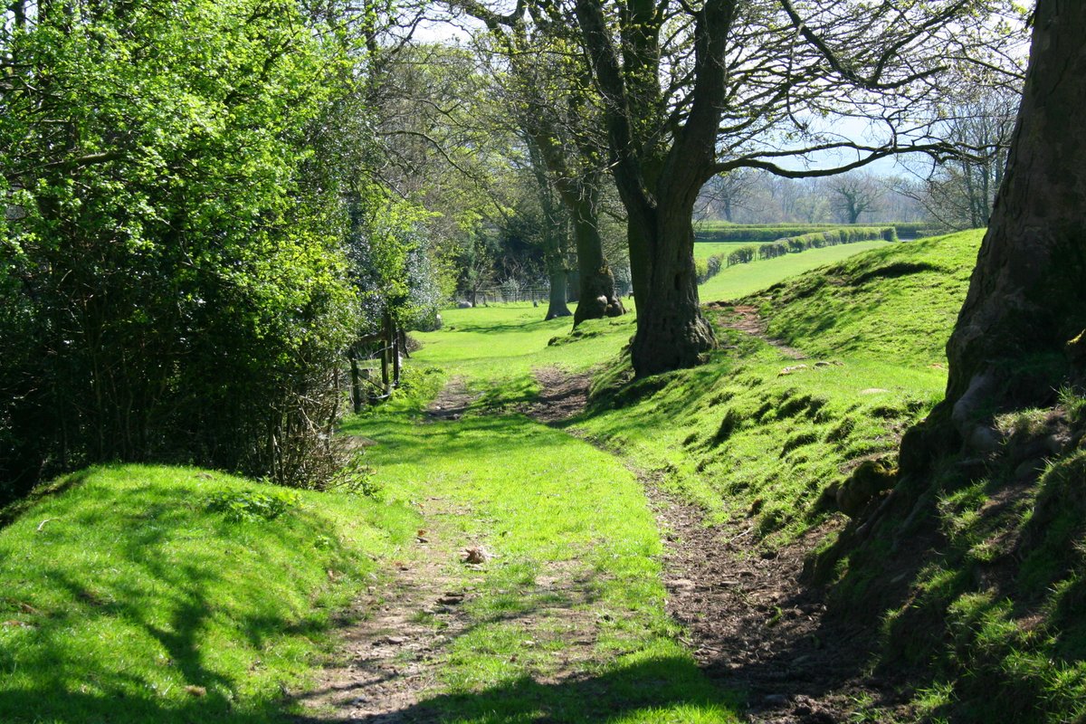 "Knowle Green" by Sue Bristo at