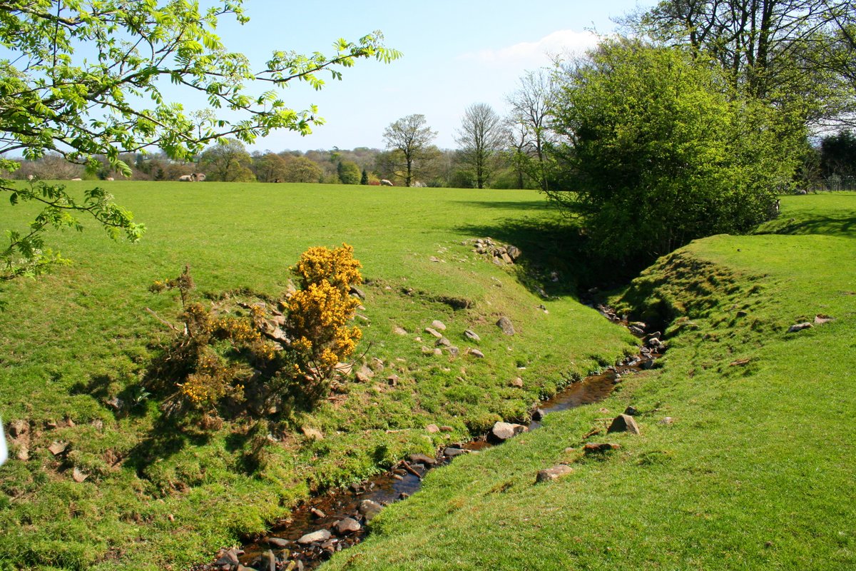 "Knowle Green" by Sue Bristo at