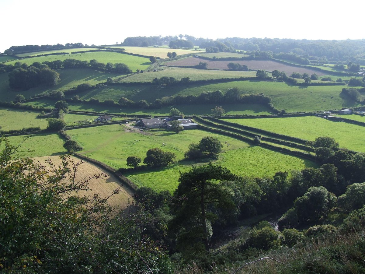 "View from South street car park Great Torrington, Devon" by Patricia