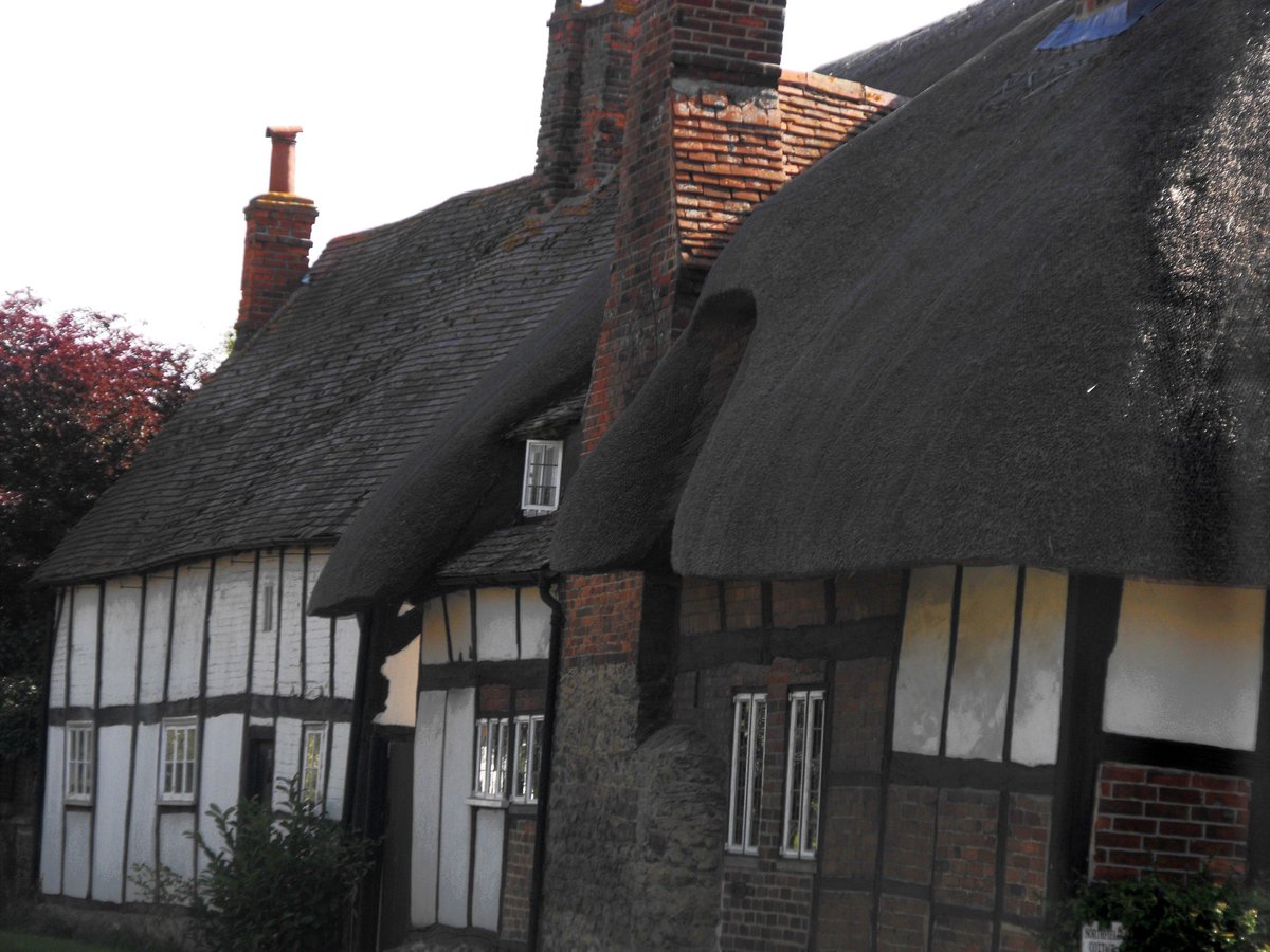 Amazing thatched buildings