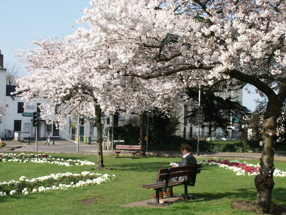 Springtime in Cheltenham