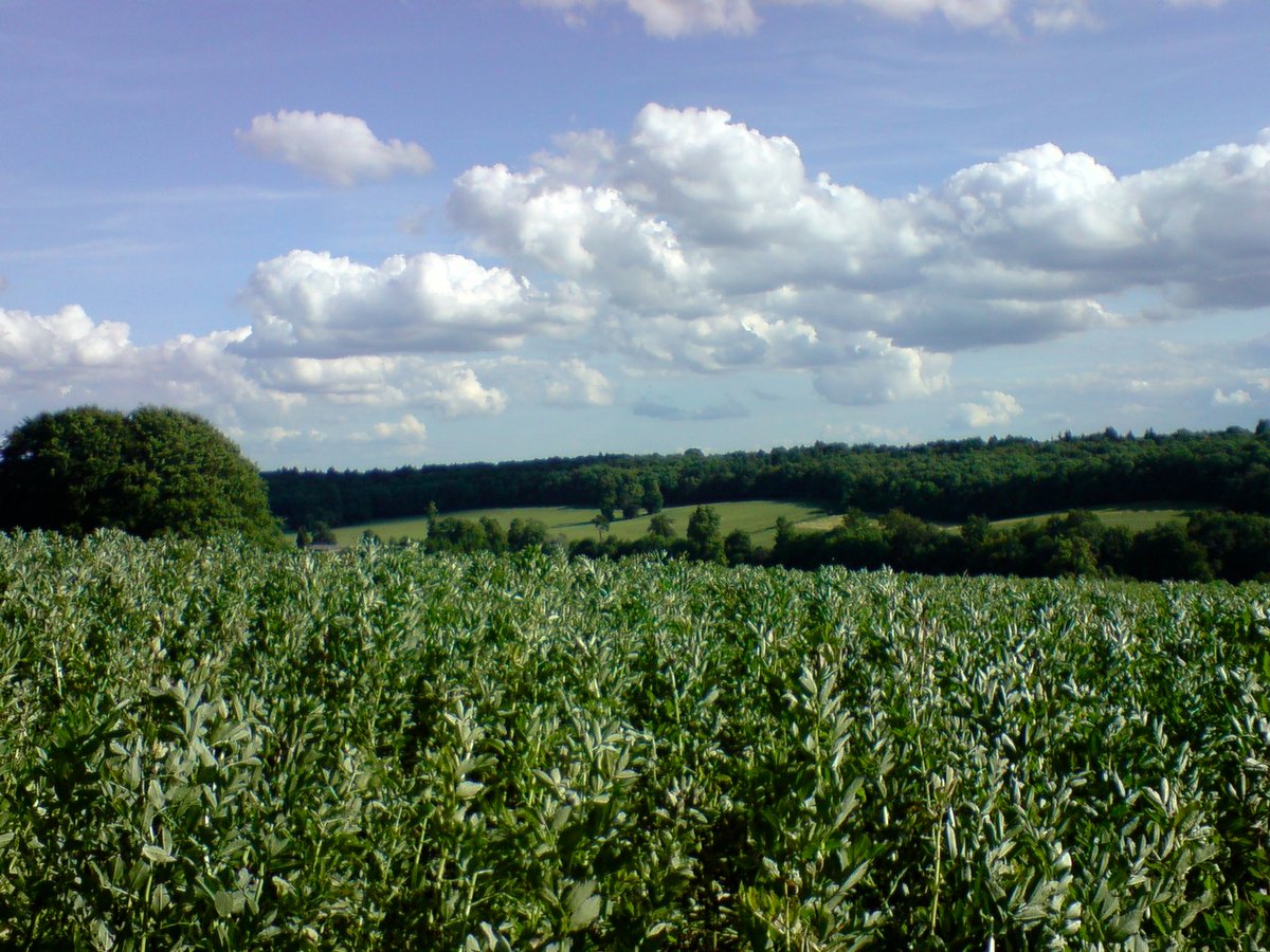 Chess Valley, Little Chalfont