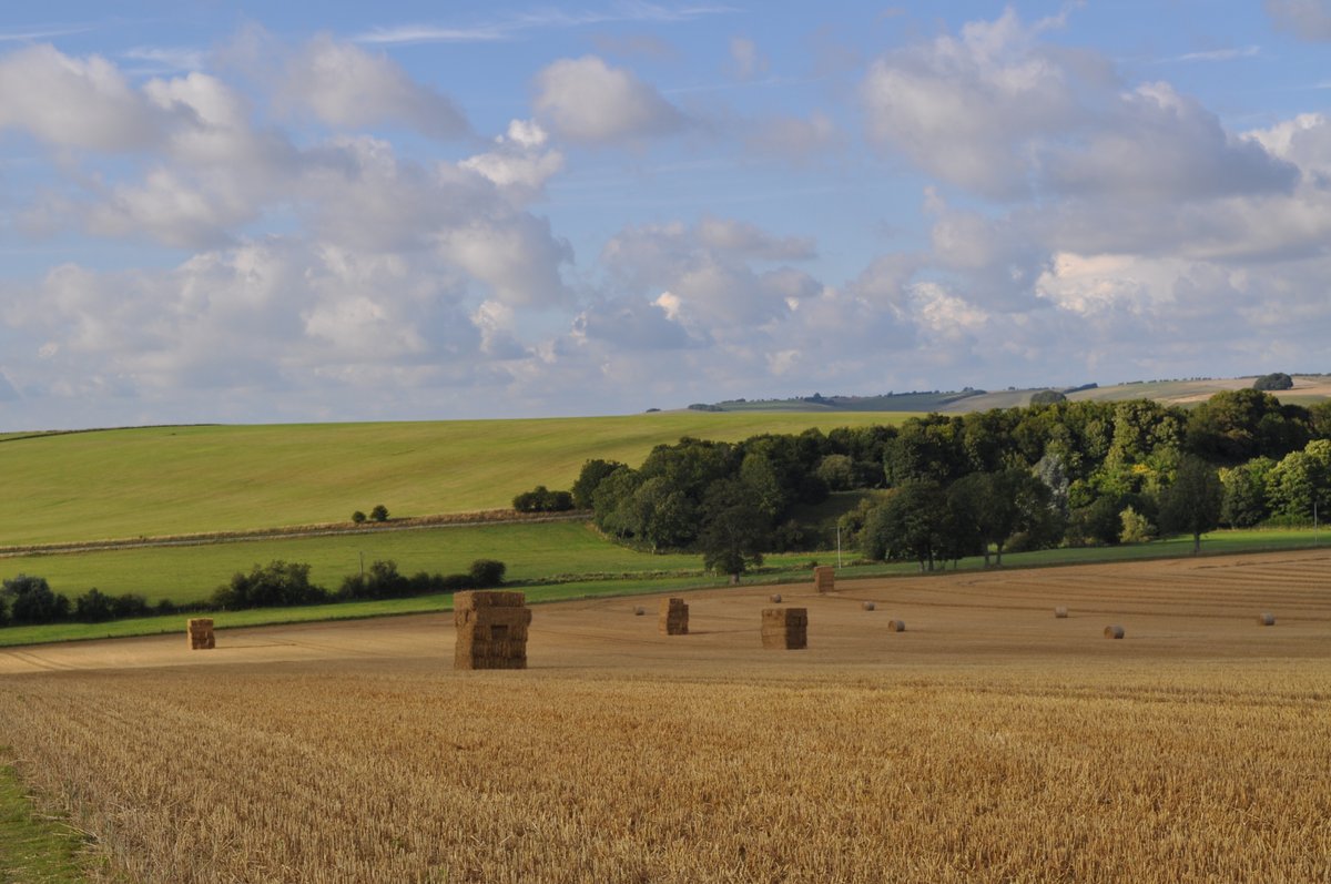 Field in Avebury, Wiltshire