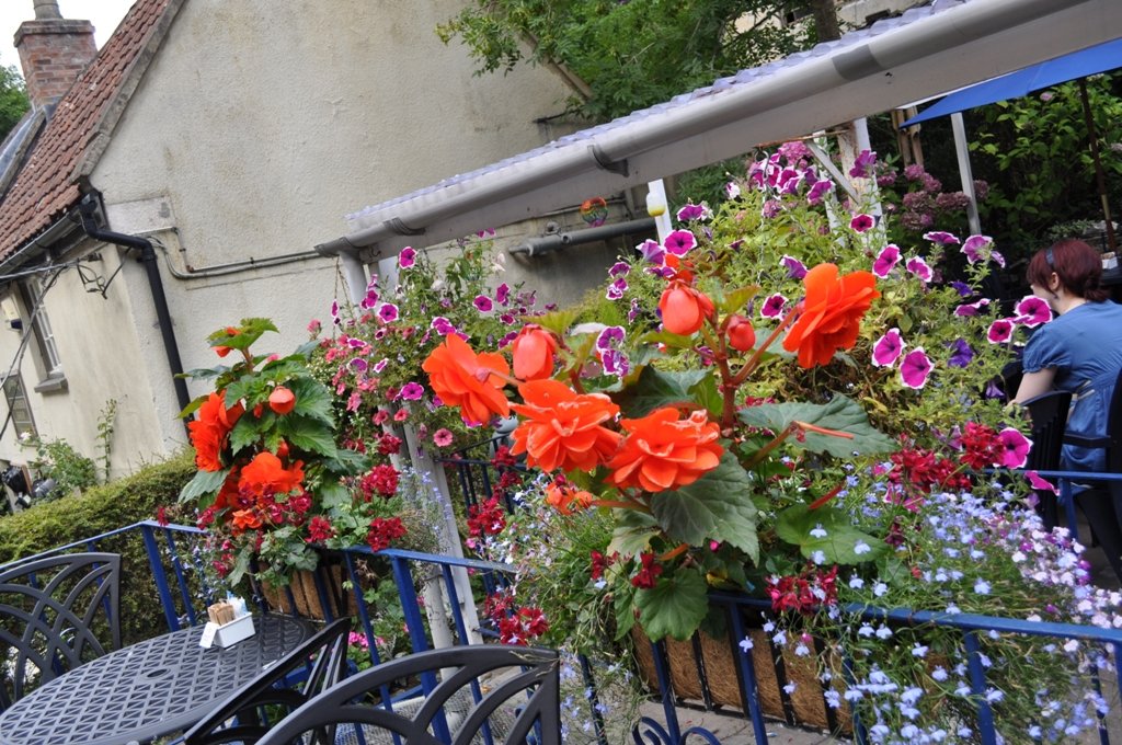 Flowers at an outside Restaurant