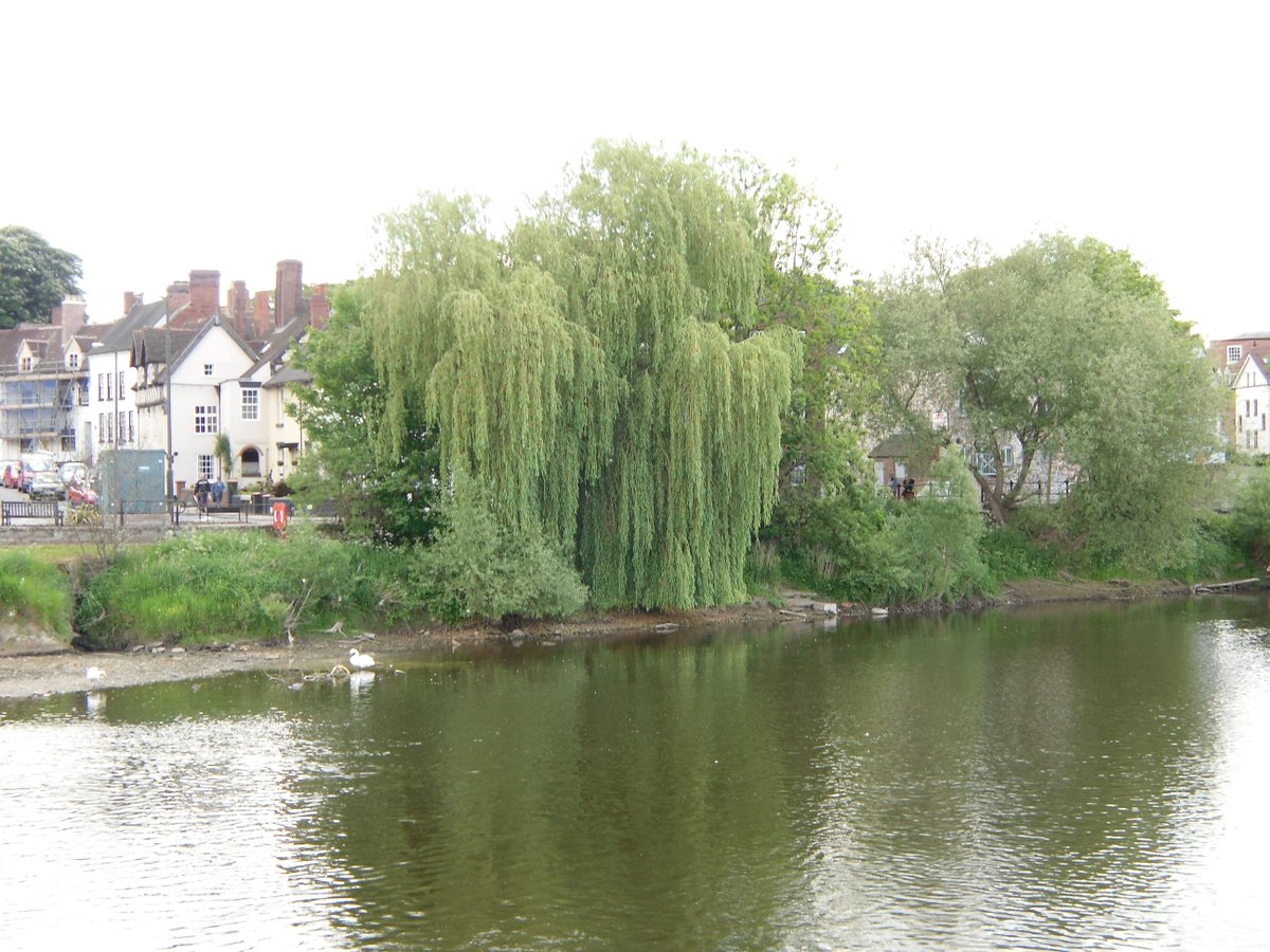 Bewdley, the River Severn