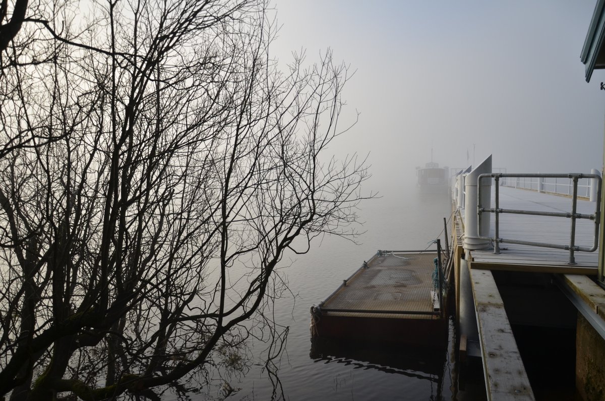 The dock of the lake shrouded in mist