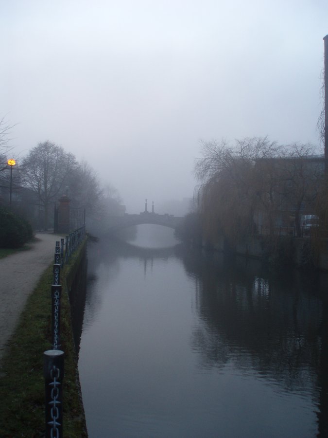 Fog on the Wensum