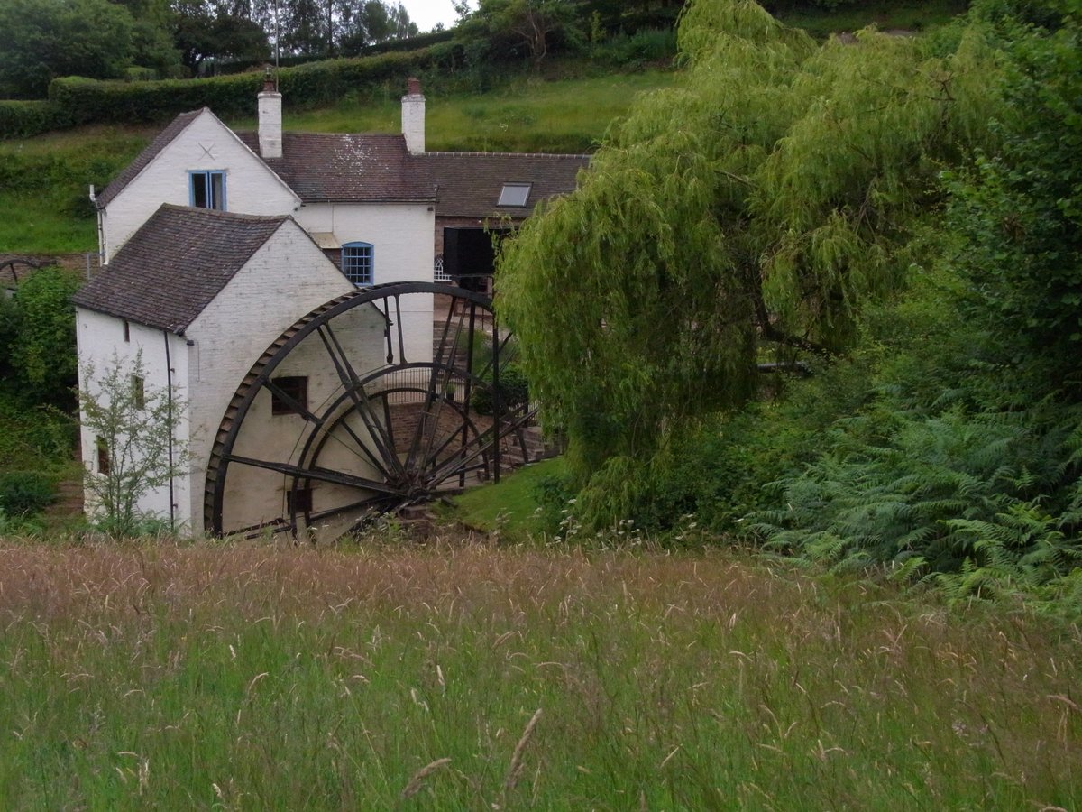 Daniel's Mill
