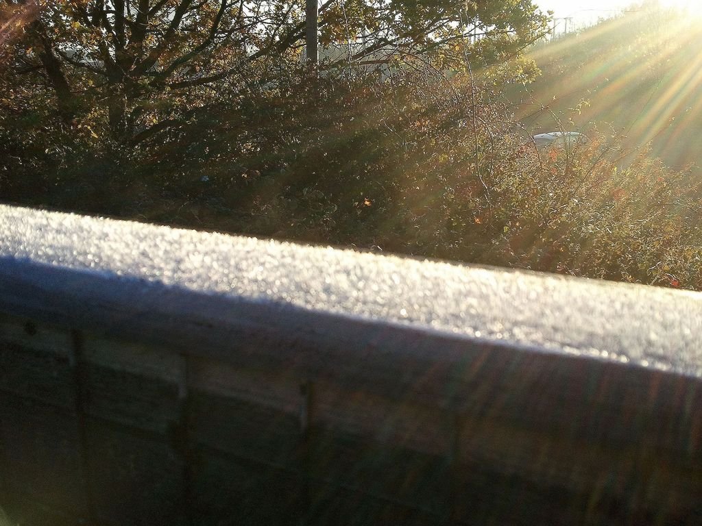 frosty morning