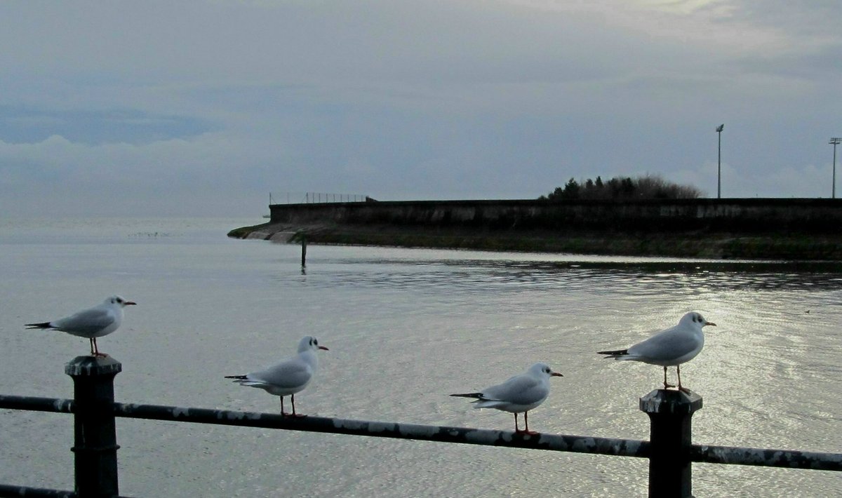 The Seafront