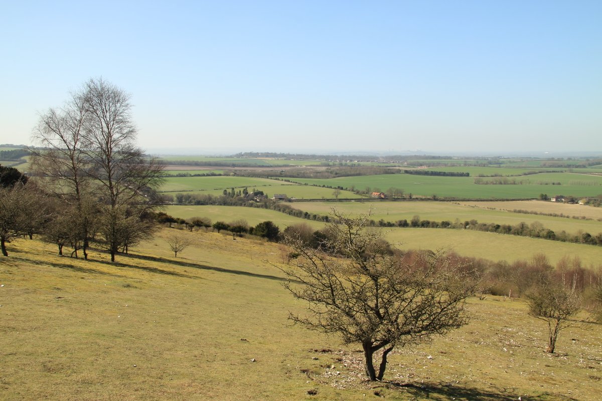 View looking west from Watlington Hill, Watlington
