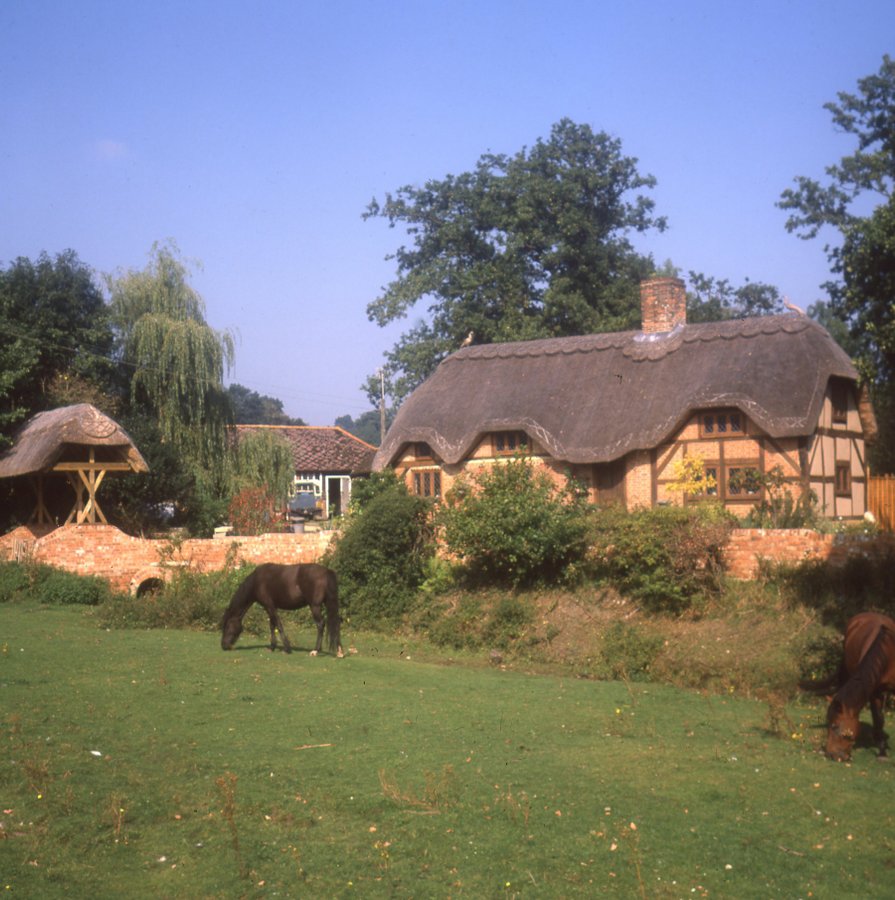 Pony and cottages at Minstead Green in the New Forest