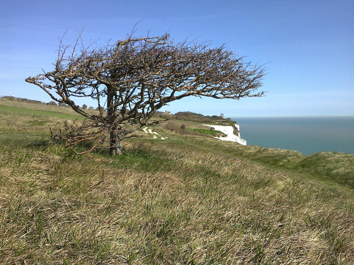 Between the Lighthouse and Dover