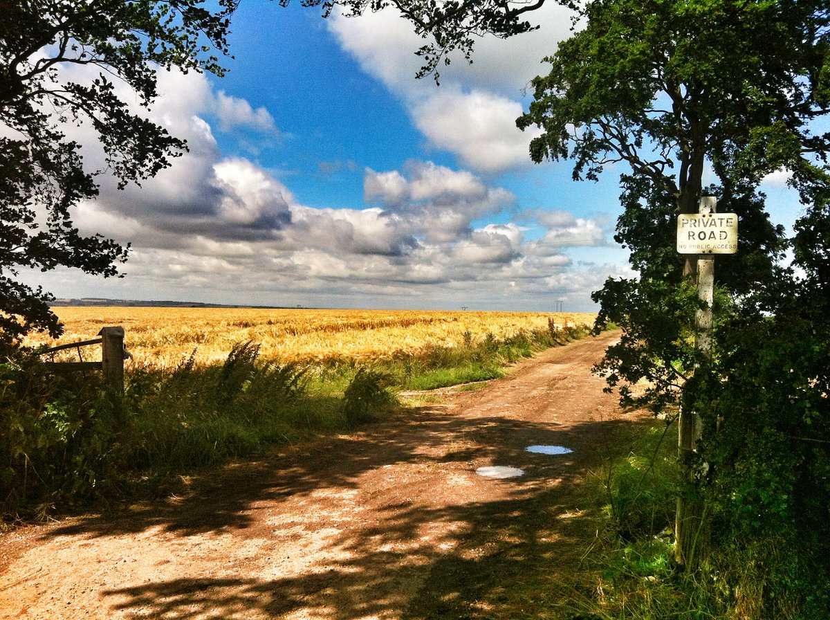 "Woodgates Lane, Swanland" by Fozzy at