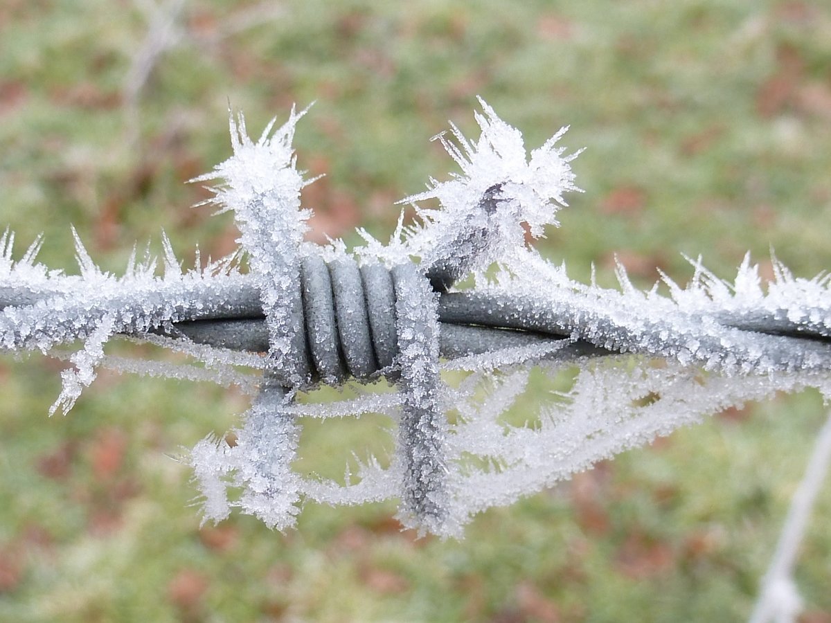 Now that Is a sharp frost!