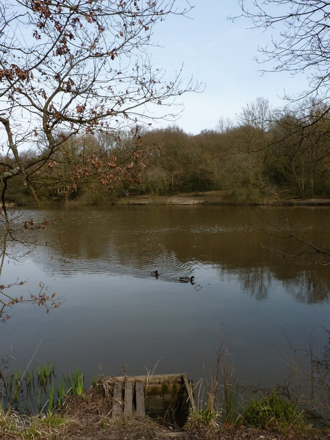 "The Stew Pond" by Vince Hawthorn at