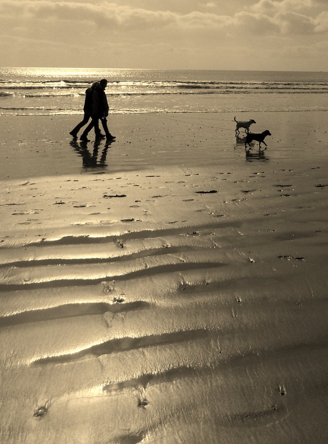 In Step at Camber, East Sussex