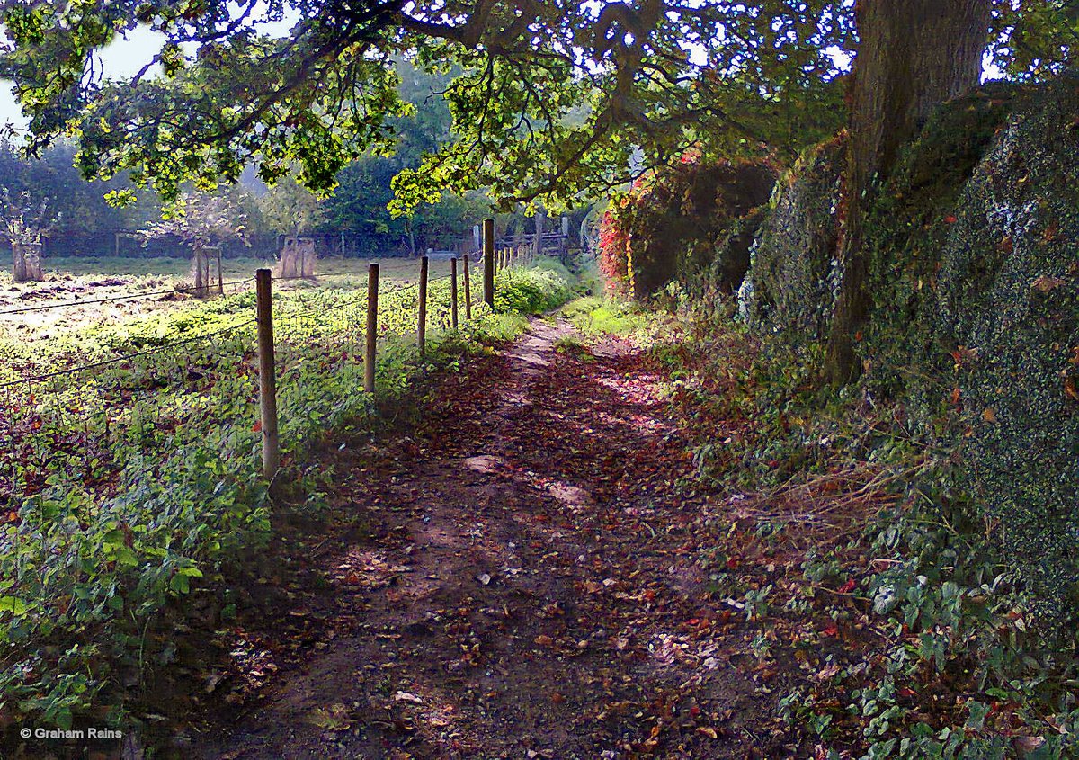 "Fontmell Magna, Dorset." by Graham Rains at