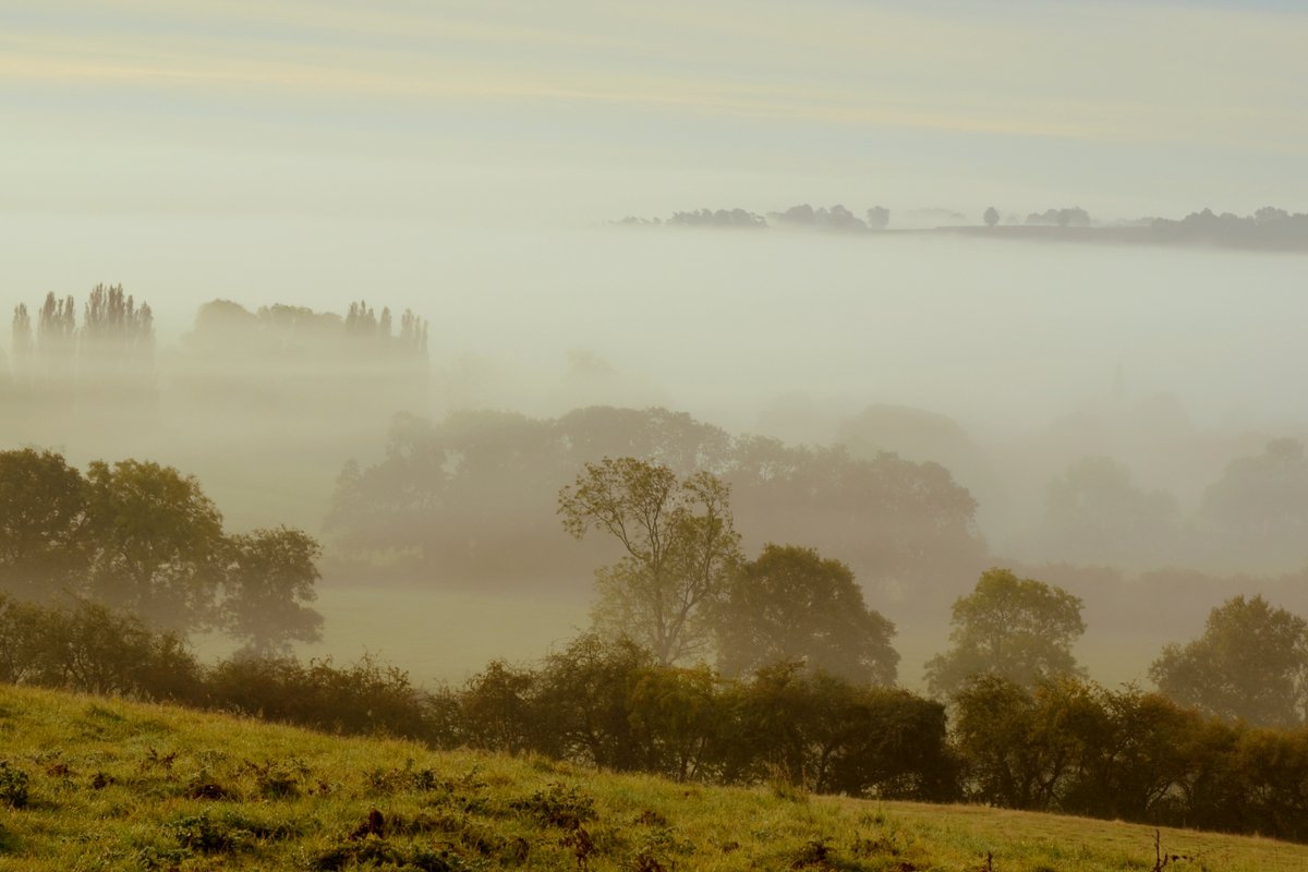 Foggy Newnham Autumn