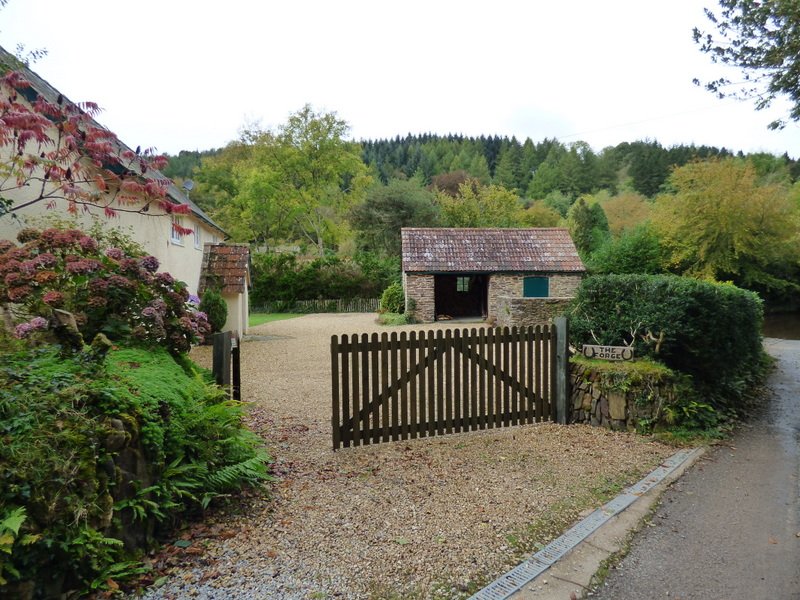 "Bury" by Pat Trout at