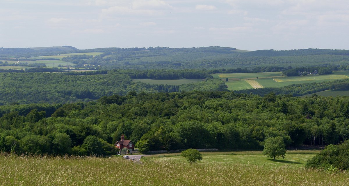 The South Downs of West Sussex