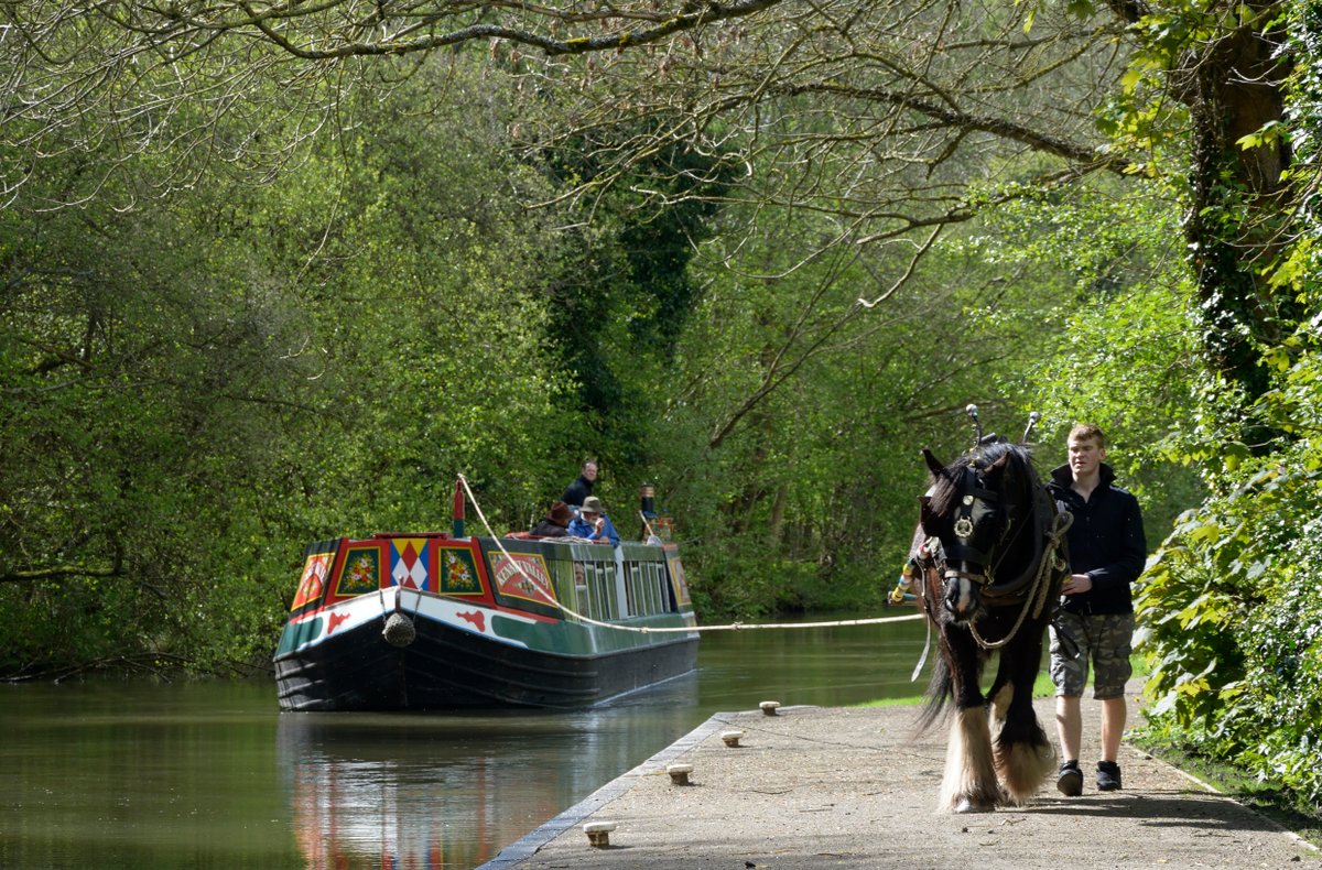 Horse-Drawn Narrowboat on the Kennet and Avon Canal at Hemstead near Newbury, Berkshire