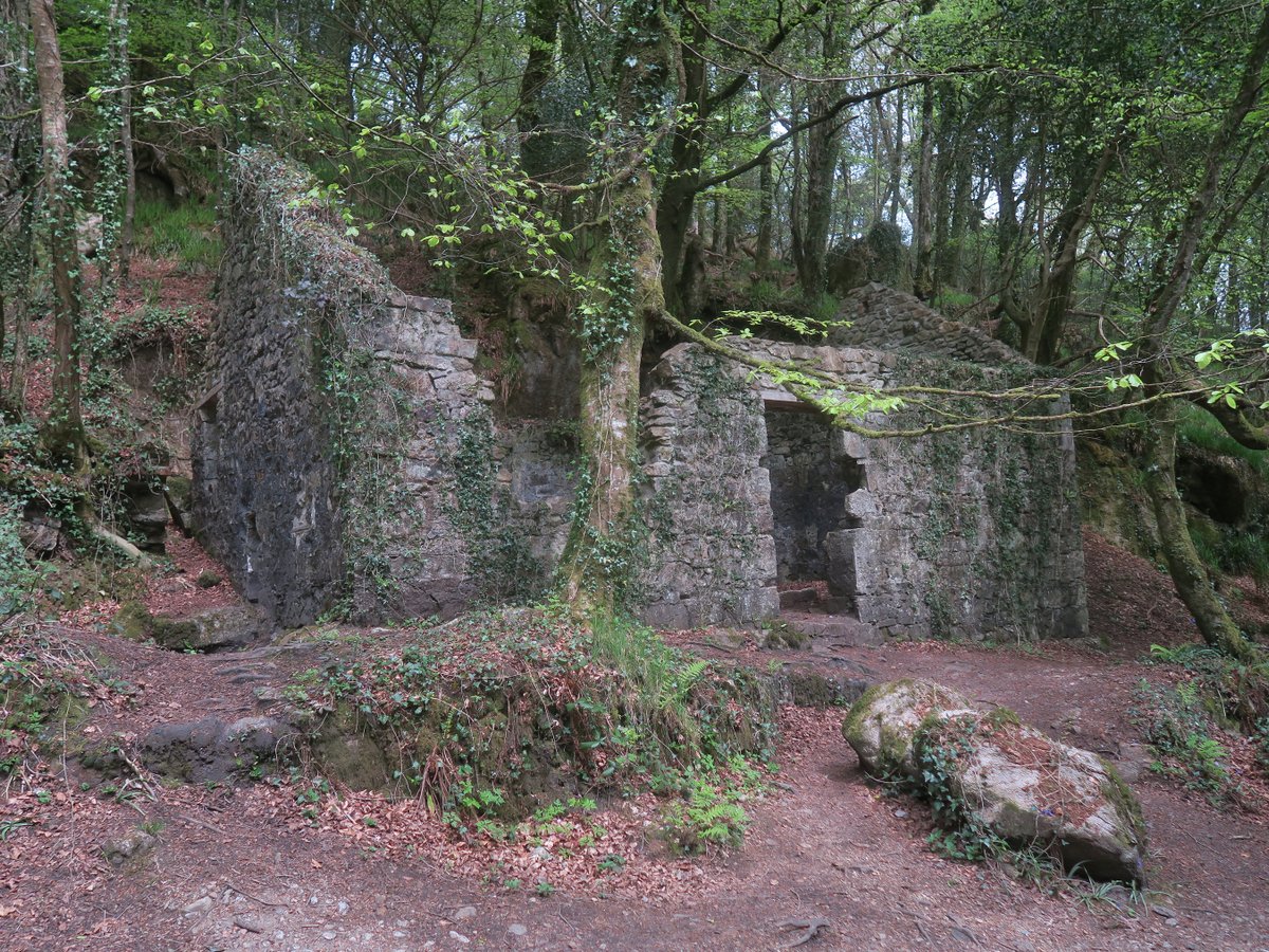 "Kennall Vale Nature Reserve" by Ted at