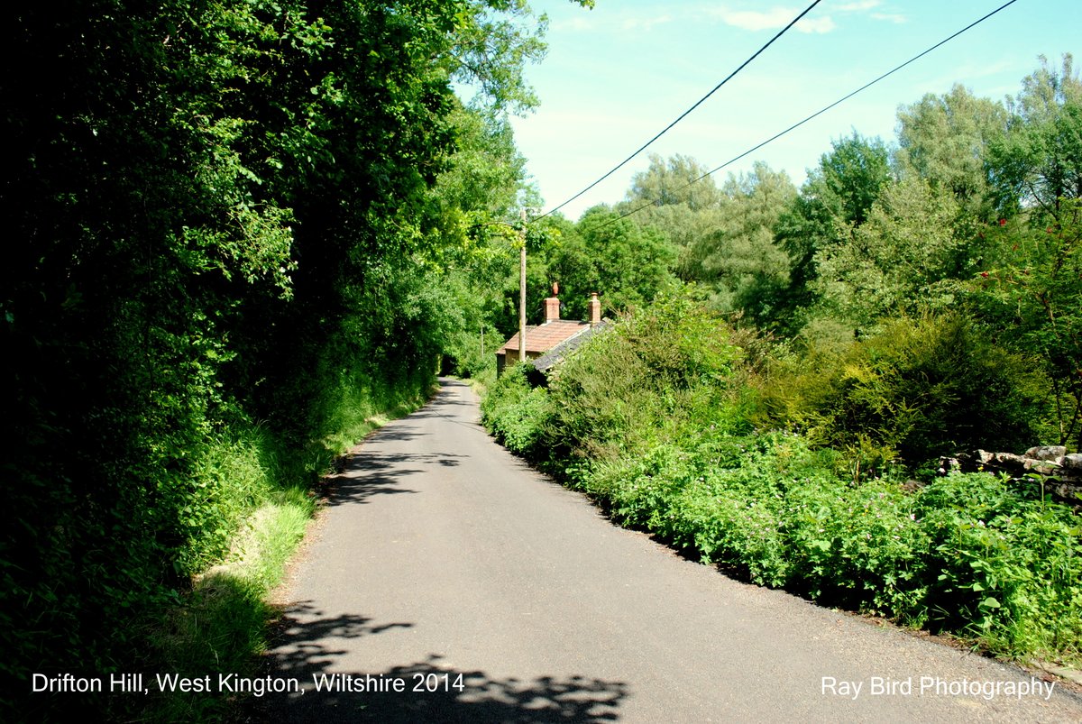"Drifton Hill, West Kington, Wiltshire 2014" by Ray Bird at
