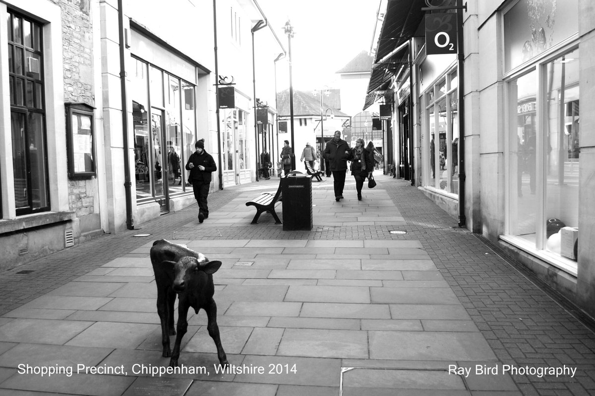 Precinct, Chippenham, Wiltshire 2014" by Ray Bird at