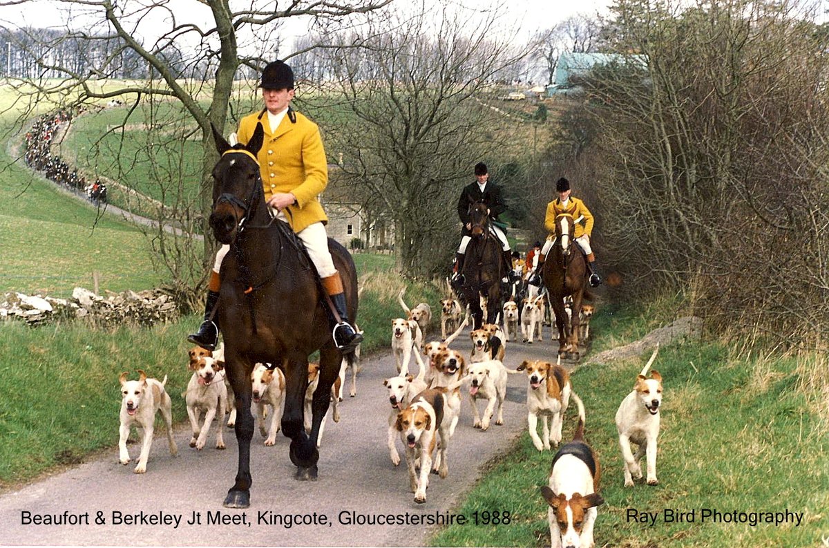 Berkeley Hunt & Beaufort Hunt Jt Meet, nr Kingscote, Gloucestershire 1988