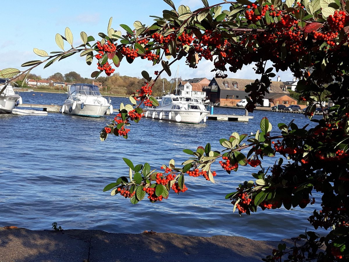 "Oulton Broad" by Peggy Cannell at
