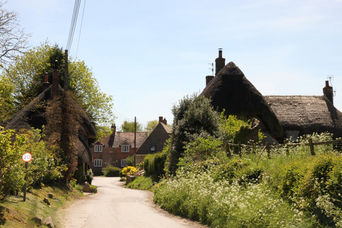 Ancient thatch and cow parsley at Ogbourne St. Andrew