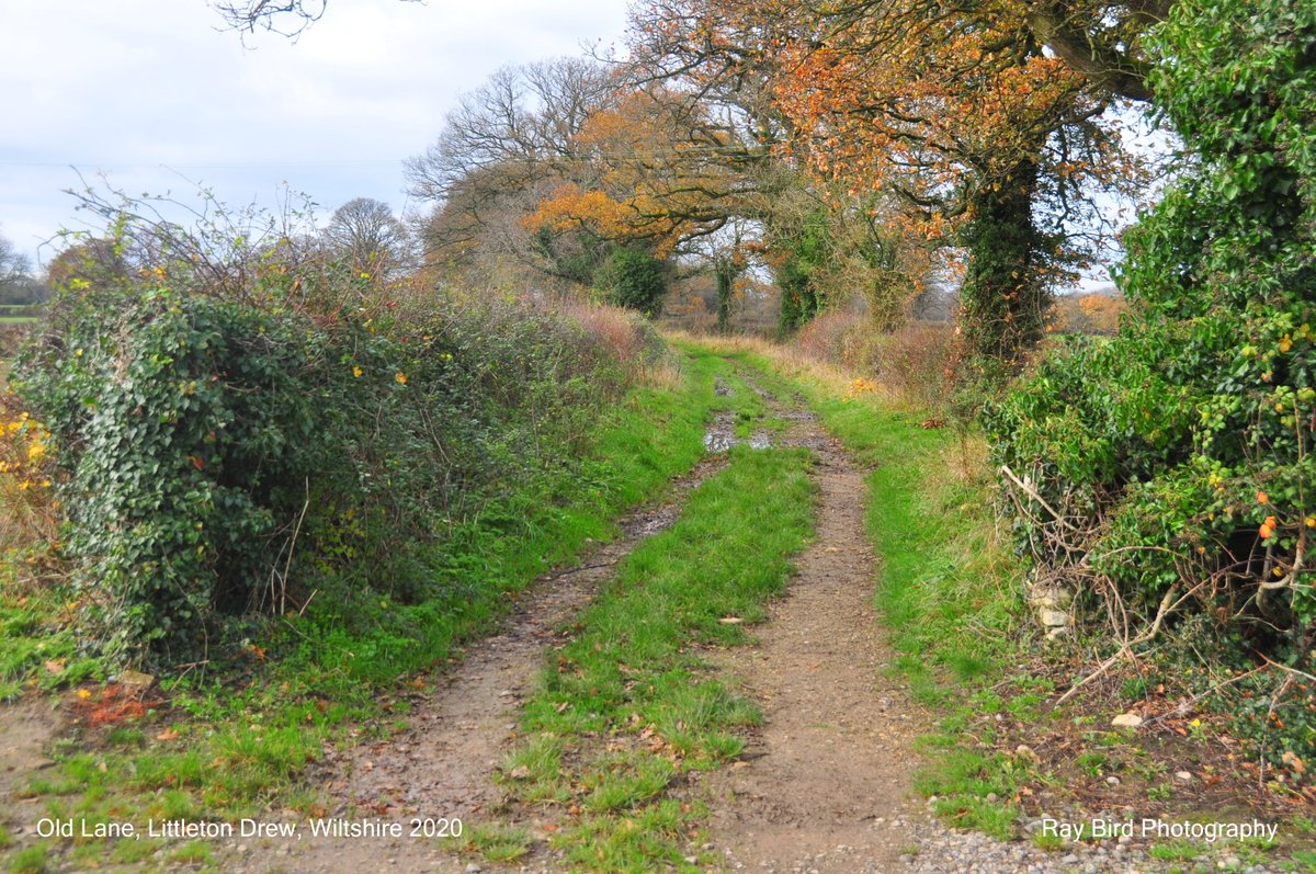 Old Lane, Littleton Drew, Wiltshire 2020
