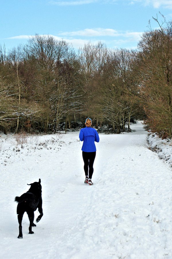 Jogger & Dog in Snow on Wimbledon Common