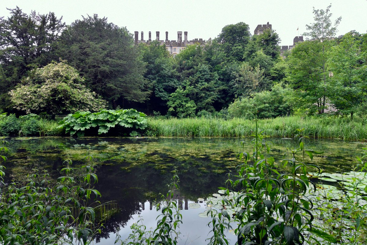 The Water Garden at Arundel Castle
