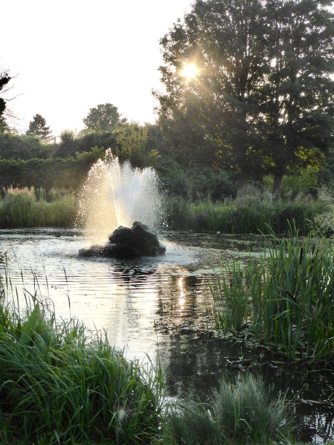 Evening by the Lake in Gordon Gardens, Gravesend, Kent