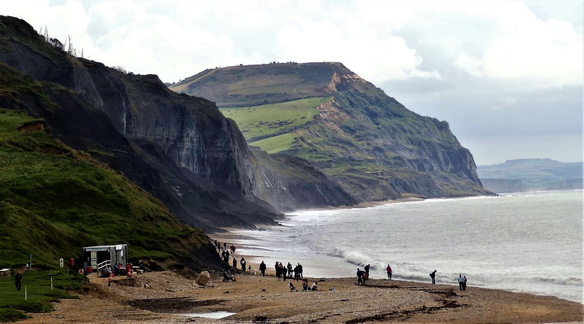 Fossil hunters on Charmouth beach in Dorset.