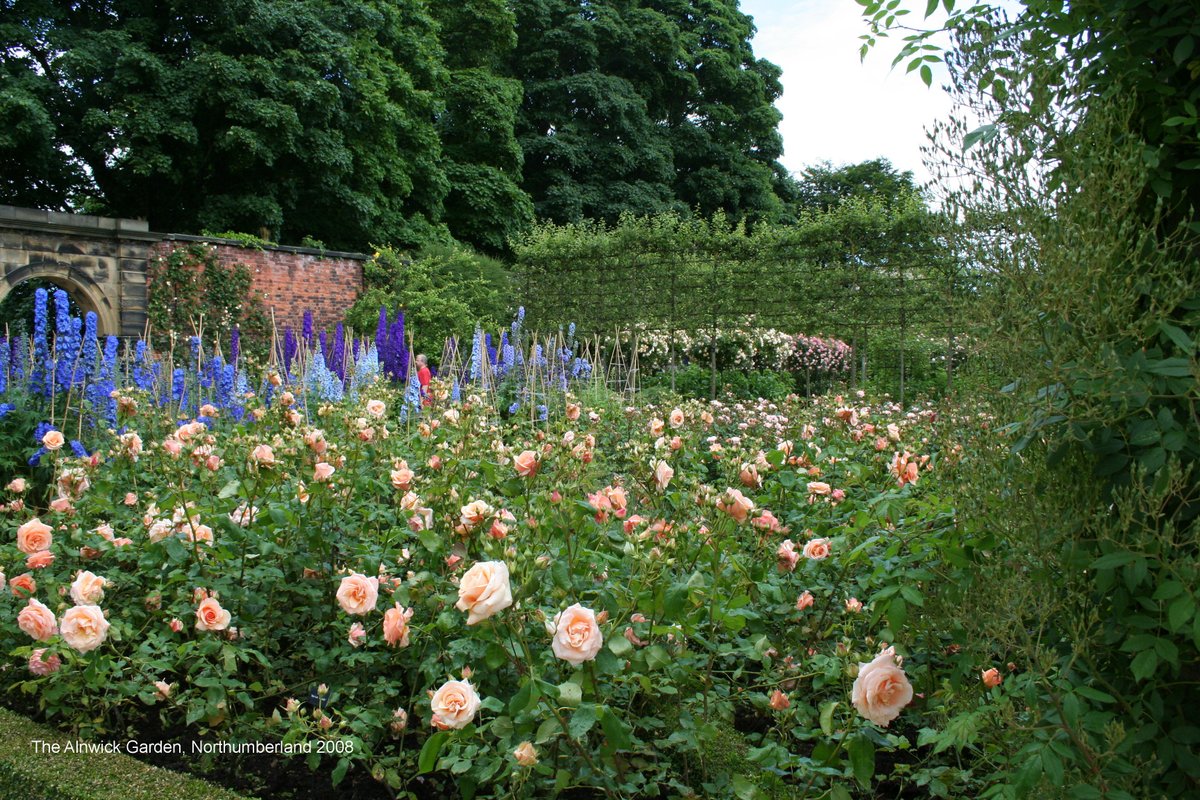 The Alnwick Garden in Alnwick