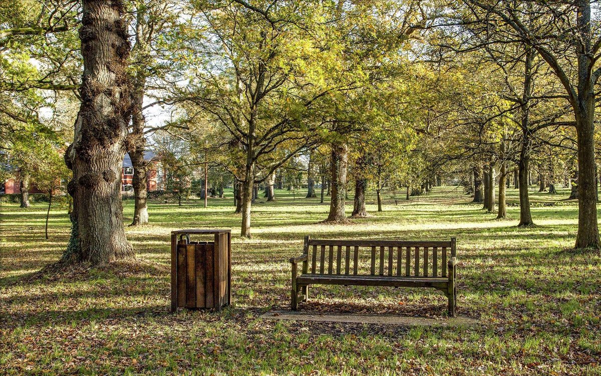 "Mildmay Oaks on the Common Hartley Wintney" by John Porter at