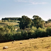 Photo of Ilmington
