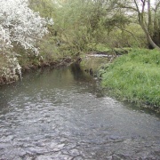 Photo of Yardley Wood