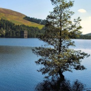 Photo of Lakes And Reservoirs