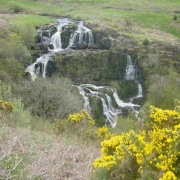 Photo of Loup of Fintry