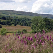 Photo of Slaidburn