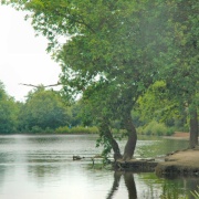 Photo of Epping Forest